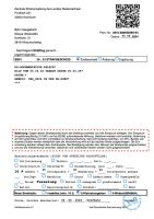 240404-VsB 24-04 Strafbescheid